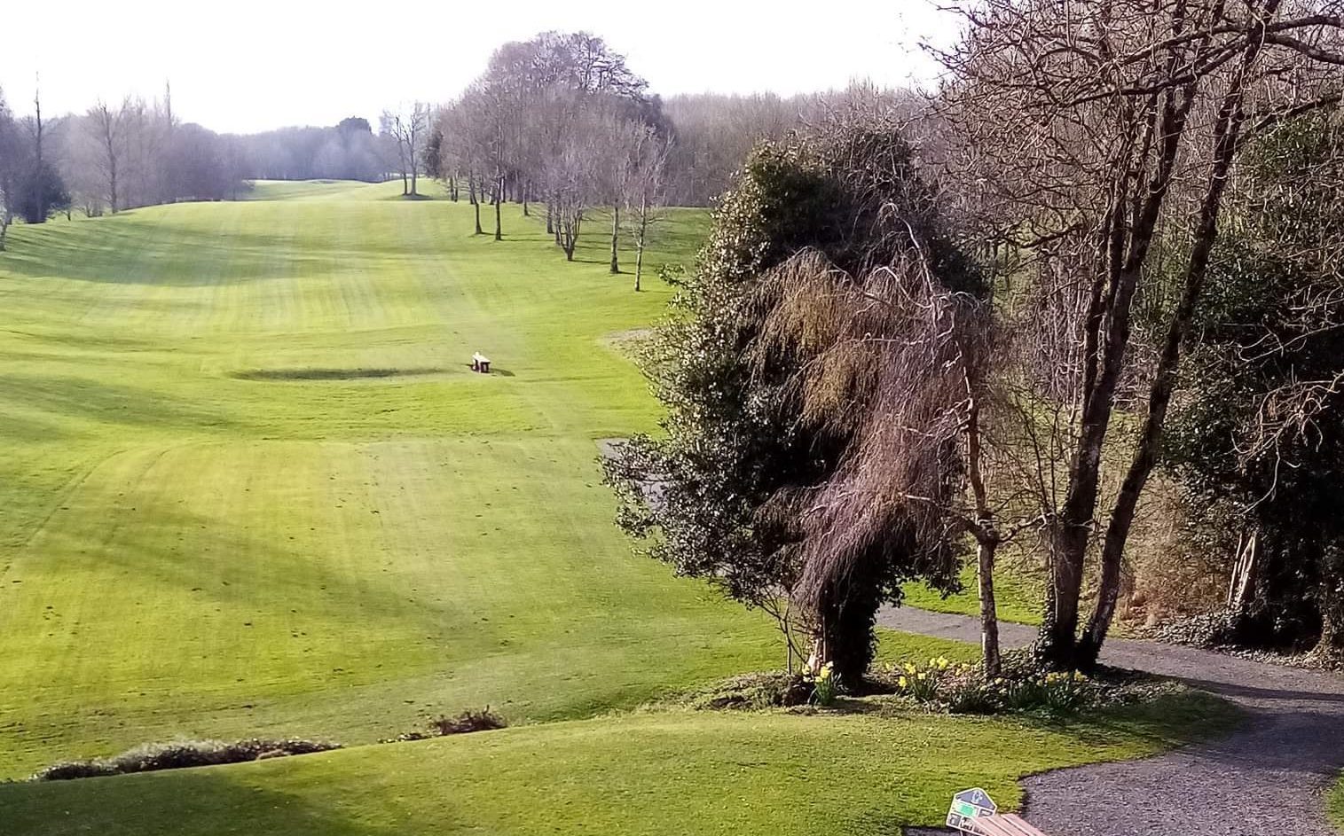 Home Mountrath Golf Club