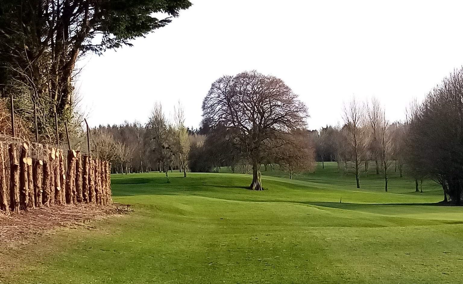 Home Mountrath Golf Club